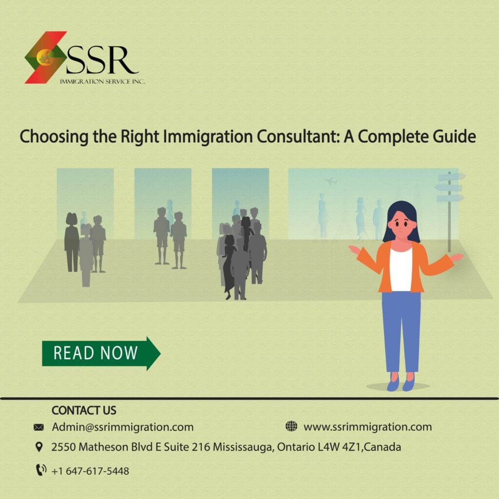 immigration consultant